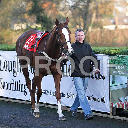 Cabra Cruizor - 13th , Jockey Mr J T Carroll - FT8E7263-e