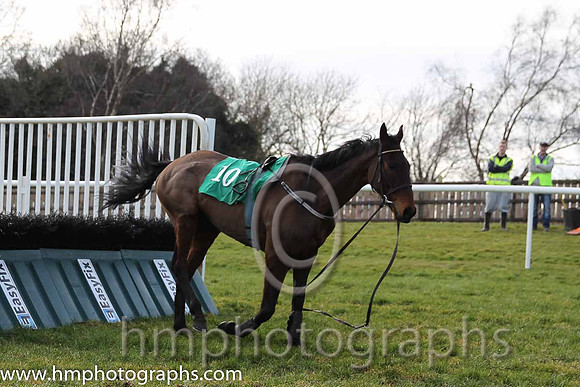 Race 3 B - Theoystercatcher (IRE) (10 ) Jockey: D E Mullins - Trainer: P A Fahy - green and yellow check