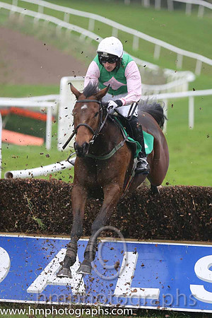 03 Local Celebrity and Mr P W Mullins - - 03rd (2 ,Green, pink diamond ) Trainer - W P Mullins