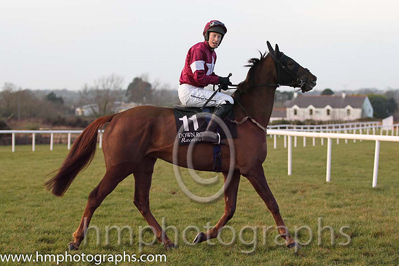 03 Is Love Alive & M P Fogarty - 3rd (11, maroon, white star and armlet ) - FT8E1799-27