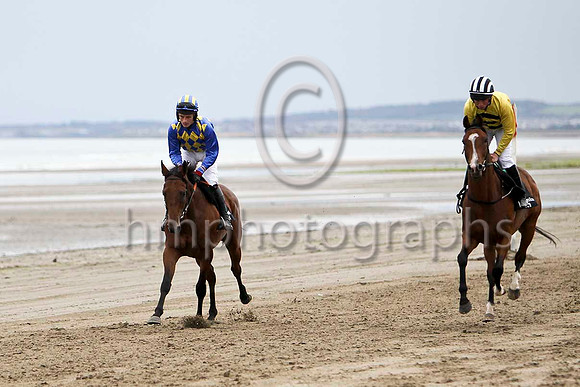 An Saighdiur 2nd  & Livaleo 4th - FT8E4251-e
