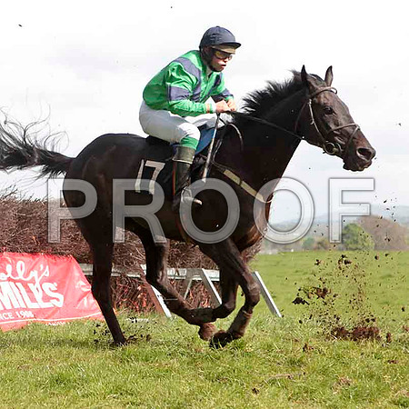 Teluel, PU, Jockey - J A Jenkins CU2D4627-e