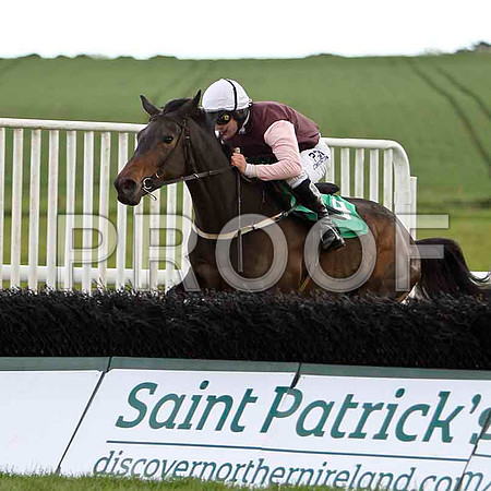 Bleakfield Lady , 6th, Jockey - R C Colgan - FT8E2915-e