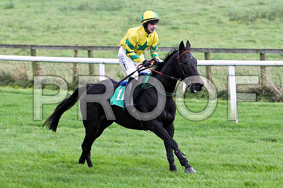 Warrants Name , 8th - Jockey I J McCarthy - FT8E5181-e