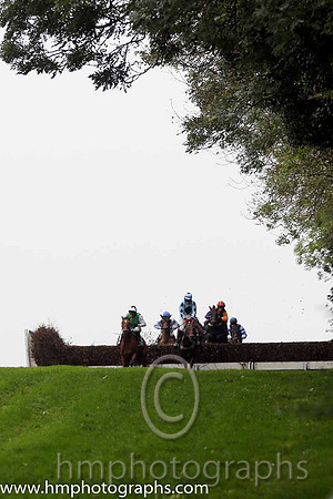 06 Icelip and J l Cullen - - 06th (3 ,Light green, white sleeves ) Trainer - D M O'Brien  03 Darwins Theory and G N Fox - - 03rd (1 ,Light blue, dark blue diamond ) Trainer - J Queally