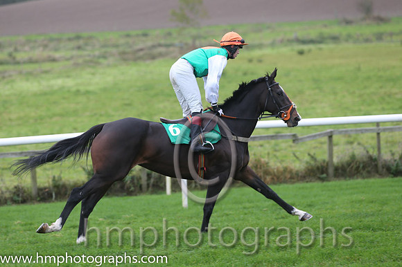 02 Indian Fairy and A F O'Neill - - 02nd (6 ,Green, orange spot, white sleeves ) Trainer - E Doyle