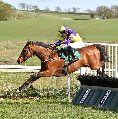 The Amarillo Kid & P Townend - Winner (3, purple and yellow quartered) - FT8E3206-e