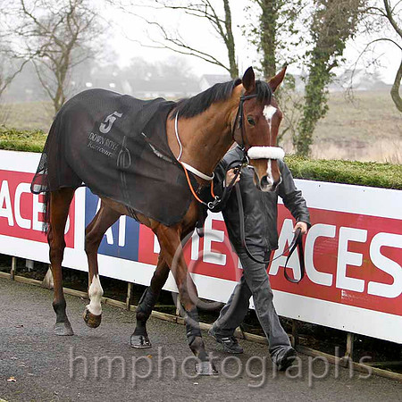 Like Your Style, Jockey R Loughran - PU -CU2D1944-e