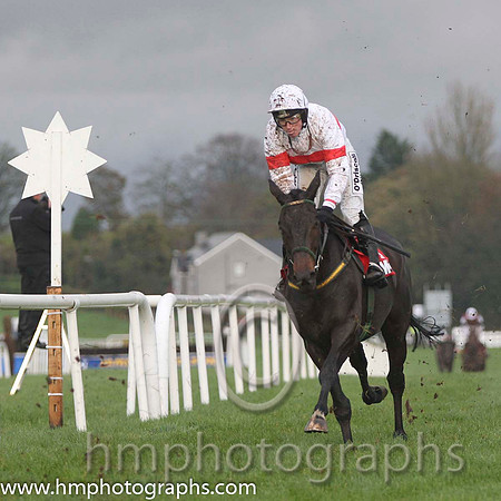 02 The Herds Garden & Ms N Carberry - 2nd (10, white, red hoop) - FT8E0517-7