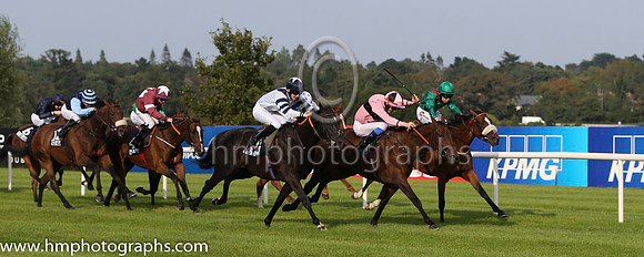 03 Silwana and L F Roche - - 03rd (14 ,green, red epaulettes ) Trainer - D K Weld , 01 Toe The Line and F M Berry - - 01st (9 ,pink, black hoop ) Trainer - J E Keily 03 Silwana and L F Roche - - 03rd