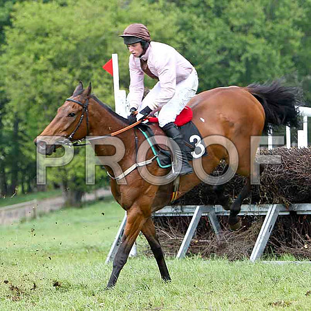Aces or Better, 2nd, Jockey J J Codd - FT8E2497-e