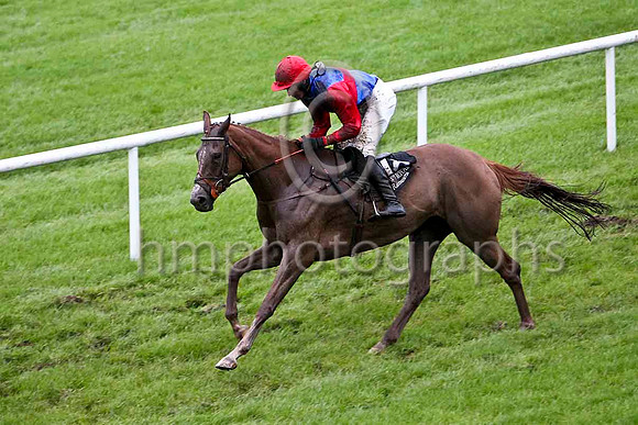 Wild Friday & Mr G B Watters - 2nd (18, royal blue, red hoop) - FT8E5487-e2