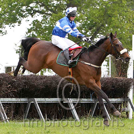 Court In Session , Winner, Jockey J J Codd -FT8E2366-e