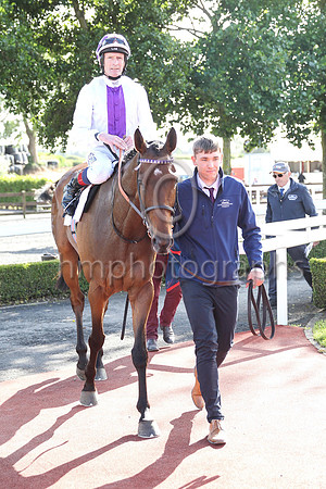 01st Dancila (3 white, purple panel ) Jockey: Kevin Manning , Trainer: J S Bolger