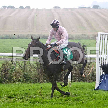 Nanna Maura , 2nd - Jockey E J O'Connell - FT8E5231-e