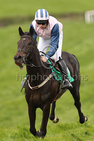 01st MOLLYKING and M J O'Hare ( 11 , PINK; blue sleeves; pink  blue striped cap ) Trainer: J.G. Cosgrave , Owner : Racing Carnglave