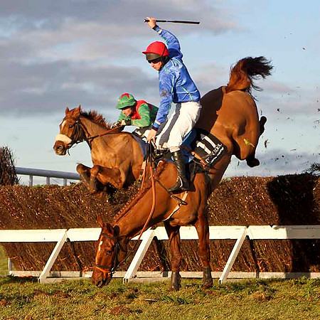 Rocklet (11) Fell - Jockey , M J Bolger - CU2D3278-e
