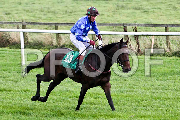 Slivegullion Girl , 11th - Jockey J L Cullen - FT8E5177-e