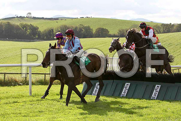 Substitute , Jockey A D Leigh  - PU - CU2D9209-e