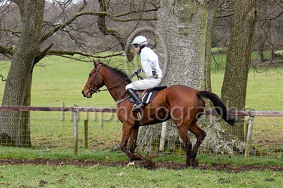 Sixth Race - Stiffler (11)- CU2D7201-e