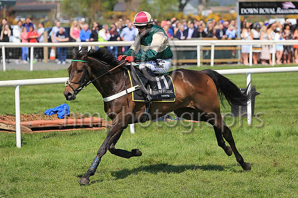 08th Hatters Hero and M A Enright ( 11 , dark green and beige hoop ) Trainer - E P Harty , Owner - Hatters Partnership