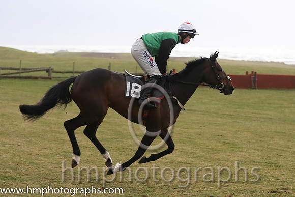 03rd The Sophster ( 18 )  J C Barry - Trainer: Ben Arthey - green, red diamond