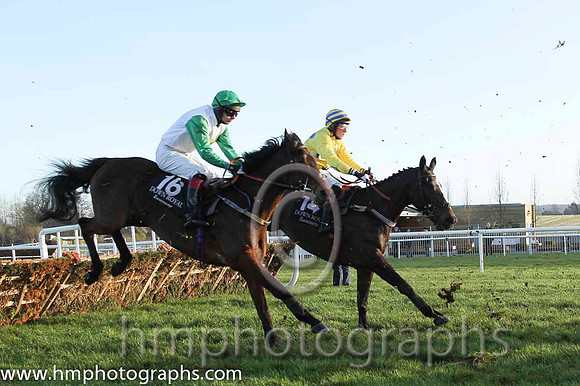 07 Nosey Box & D R Fox - 7th (16, white, yellow star, emerald green sleeves) & 16 Golan Native & I J McCarthy - 16th (15, white and orange diamonds) - CU2D9804-35