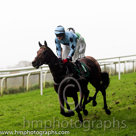 03 Darwins Theory and G N Fox - - 03rd (1 ,Light blue, dark blue diamond ) Trainer - J Queally