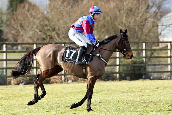 Daneva - 12th - Jockey I J McCarthy - CU2D3165-e