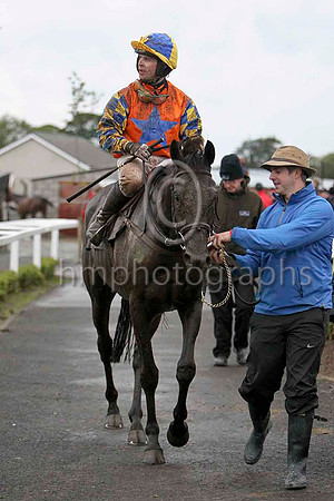 Mister Nibbles & Mr S Crawford - winner (21, orange, toyal blue star) - FT8E5503-e2