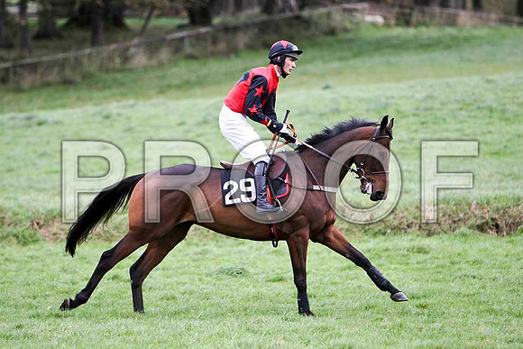 InTheLunchBreak , 3rd - Jockey G Yemm - FT8E5624-e