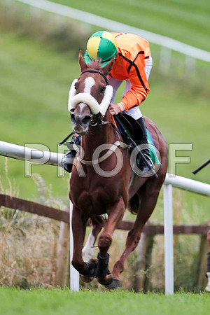 Tarwiyna - 9th, Jockey I J McCarthy  - CU2D9465-e