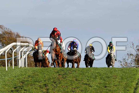 Oily Colman in the lead , Jockey M Darcy - PU - CU2D9349-e