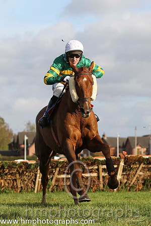 16 Dear Boss & A P McCoy - 16th (10, emerald green and orange hooped) - FT8E9942-65