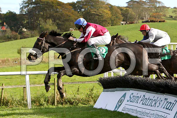 Soitoldyou < jOckey B M Cash - 10th & Raise the Goblet , Jockey A P Crowe - 8th - CU2D9256-e