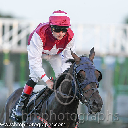 03 Sir Ector & P J Smullen - 3rd (3, maroon, white star ) -CU2D8702