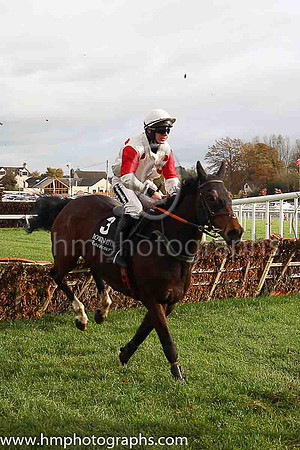 08th Macs Bach and P T Enright ( 3 , white, red spots ) Trainer - Ms M Flynn , Owner - Santry Power Walsh Syndicate