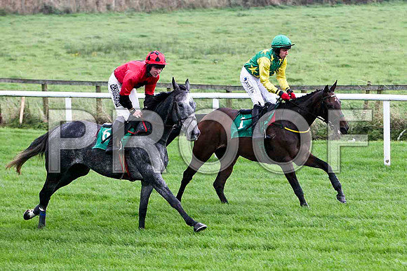 Jack Bene , Fell- Jockey P T Enright & He's a Delight , Winner - Jockey D J Condon - FT8E5171-e