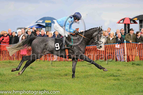 01st RAMORE WILL and N McParlan ( 9 , LIGHT BLUE,navy large spots; light blue sleeves; navy cap ) Trainer: I. R. Ferguson,, Owner : William Porter