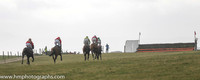 2015/03/07th - Race 4 East Down Foxhounds P2P at Tyrella