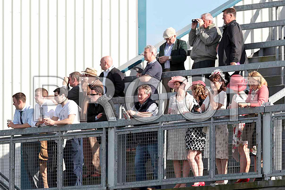 Watching the Action - CU2D9512-e