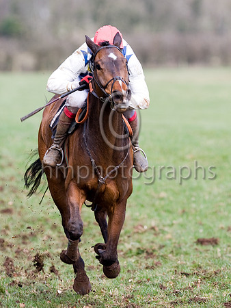 Fifth Race - Birrell 4th - _MG_5043-e3a4j