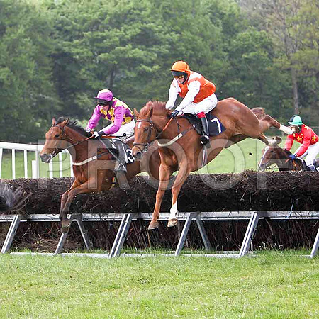Mulligan's Man , Fell, Jockey - D L Queally & Glenwood Present , Winner, Jockey C Cully - FT8E2286-e