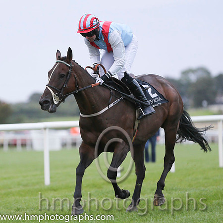 10 Hirams Codd and Mr N M Kelly - - 10th (2 ,light blue, red chevron ) "