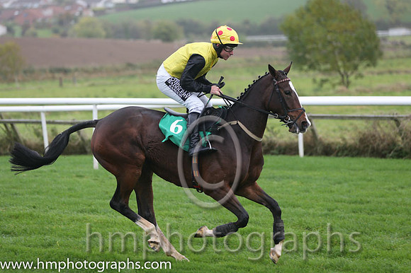 07 LottoLove and P T Enright - PU - 07th (6 ,Yellow, black sleeves ) Trainer - Ms O'Connell