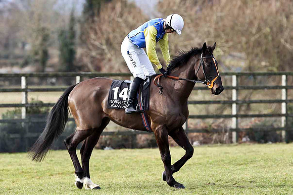 Simonay - PU - Jockey Andrew J McNamara - CU2D3155-e