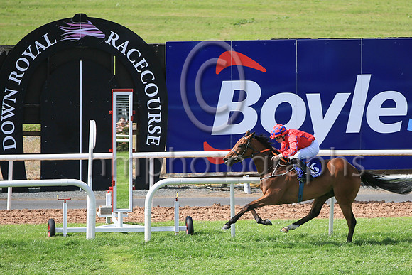 01st Urban Oasis (6 red, blue seams ) Jockey: Jamie Powell7 , Trainer: John James Feane