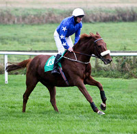 Castle Ranger , Winner - Jockey Mr M J O'Connor - FT8E5264-e