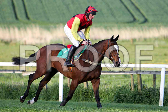 Lord Multifix , 3rd, Jockey Mr J J Codd - FT8E3128-e