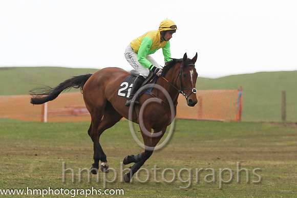 03 The Bosses Sister & Derek O'Connor - 3rd (21, yellow, green star ) - FT8E3151-72